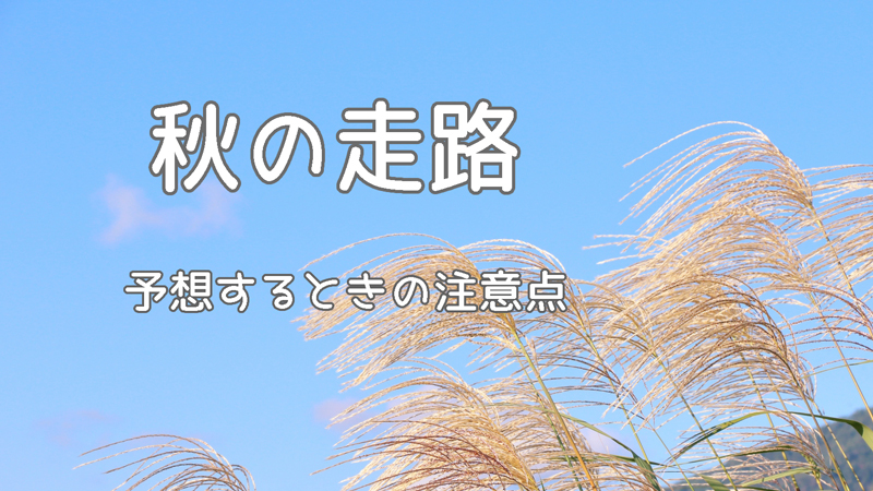 秋の走路で予想するときの注意点